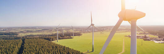 Wind turbines in a field near trees on a sunny day