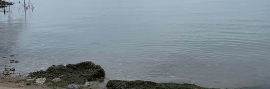 A pre-cleanup picture of a beach on Lake Michigan's waterfront. 