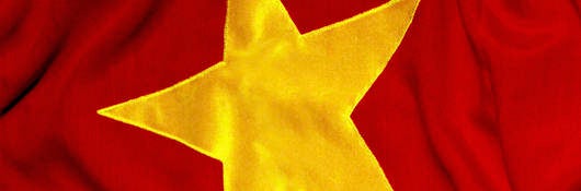 Vietnam Flag