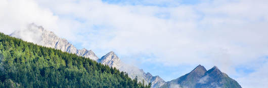 Photo of trees in foreground and mountains in the background