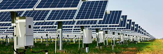 Solar panels in a field