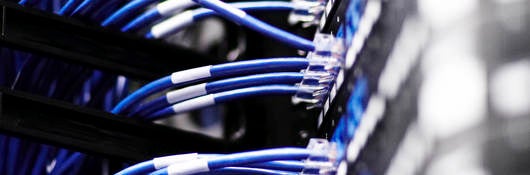 Close up image of cables connected to a server