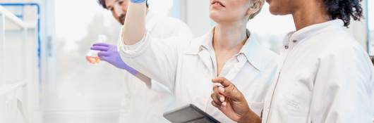 Scientists working in a laboratory