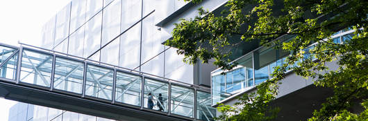 An office building and greenery