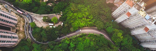 Aerial view of green area, buildings and street