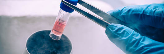 Scientist taking a vial out of liquid nitrogen