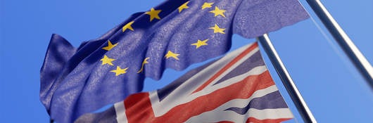 BREXIT: Key Implications for Global Retailers and Brands