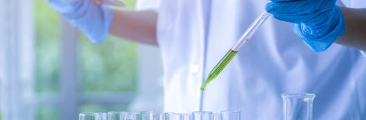 Scientist working in a chemical laboratory and using test tubes