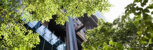 A view of the office building through green trees in front