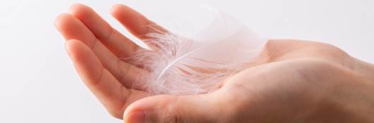 White feather on a woman hand