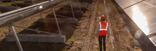 Employee inspecting solar panels