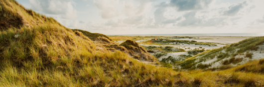 Grassy sand dune on a cloudy day