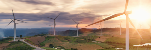 Field with wind turbines