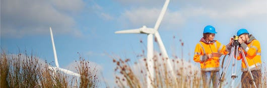 Two workers surveying in a field with wind turbines behind them