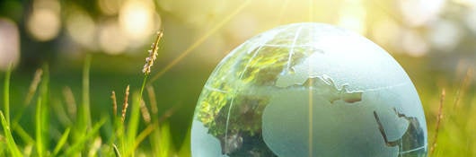 Glass globe sitting in the grass