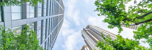 Bottom view looking up through buildings and trees