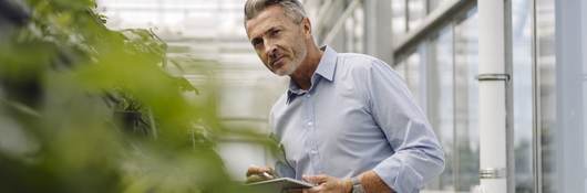 A horticultural professional with a digital tablet analyzes plants in a greenhouse.