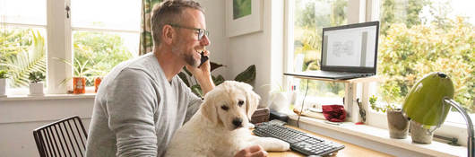 Person smiling and working from home with cute yellow puppy on their knee