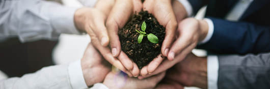 Group of people holding a plant growing out of soil