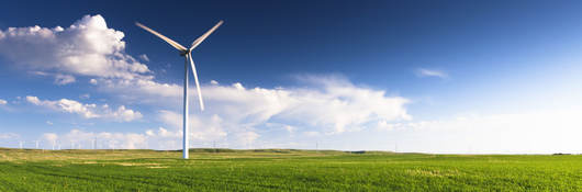 Wind turbines in a field