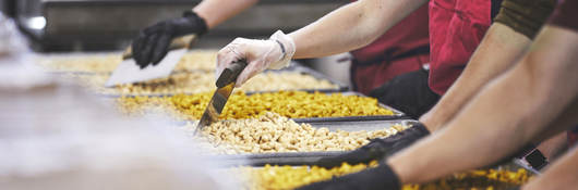 Workers examining cashews