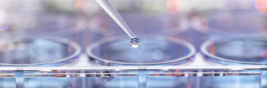 Pipetting sample into multiwell plate for analysis in a laboratory