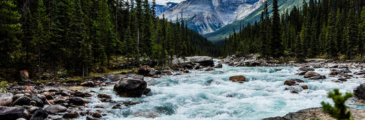 River, trees and mountains