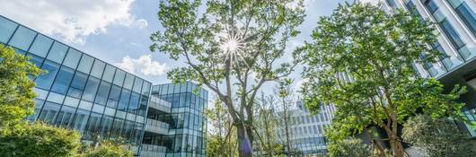 Modern eco city with green trees.