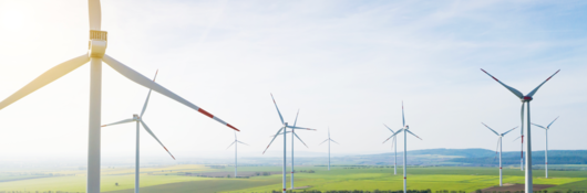 Wind turbines over a verdant field