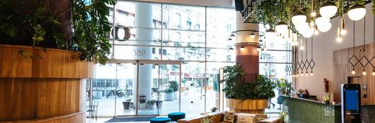 Interior of modern hotel lobby with lots of green plants