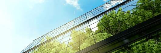 Upward view of a reflection of trees against glass skyscrapers