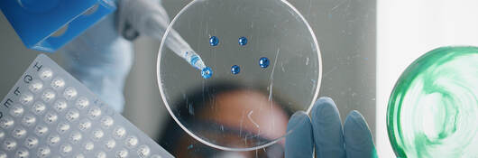 A scientist using a pipette to drop blue liquid in a petri dish