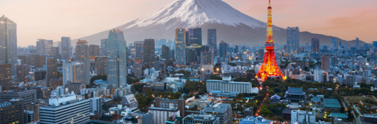 Tokyo, Japan, skyline with Mt. Fuji in the background