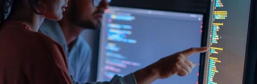 Two people looking at a monitor