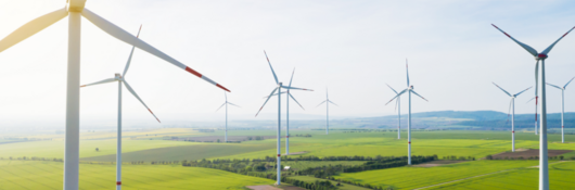 windmills in field