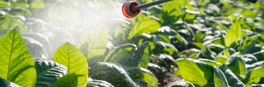 Herbicide being sprayed on a crop