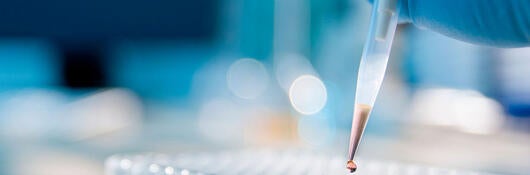 Laboratory technician injecting liquid into a microtiter plate