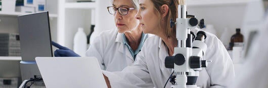 Two scientists in a laboratory with a laptop and equipment
