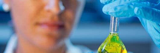 researcher at the laboratory