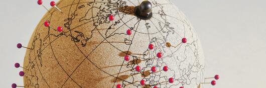 globe with pins in it