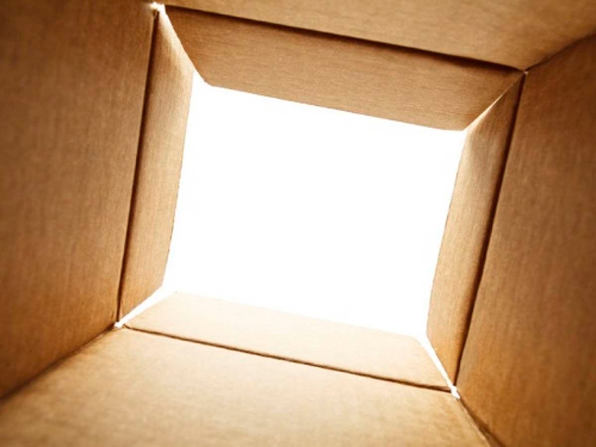 looking out of the bottom of a box