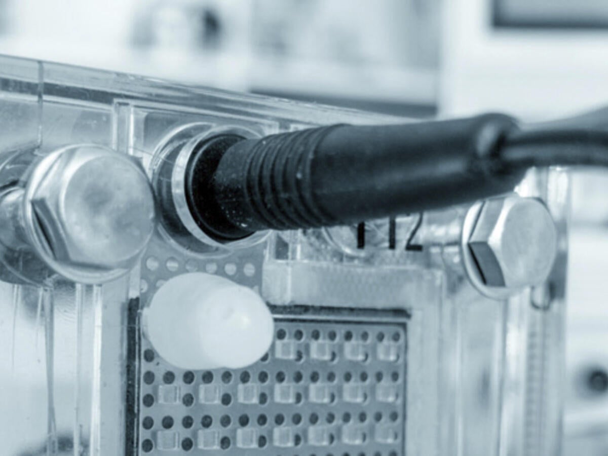 Mi✴︎ページ 燃料電池の試験と認証 | UL Solutions