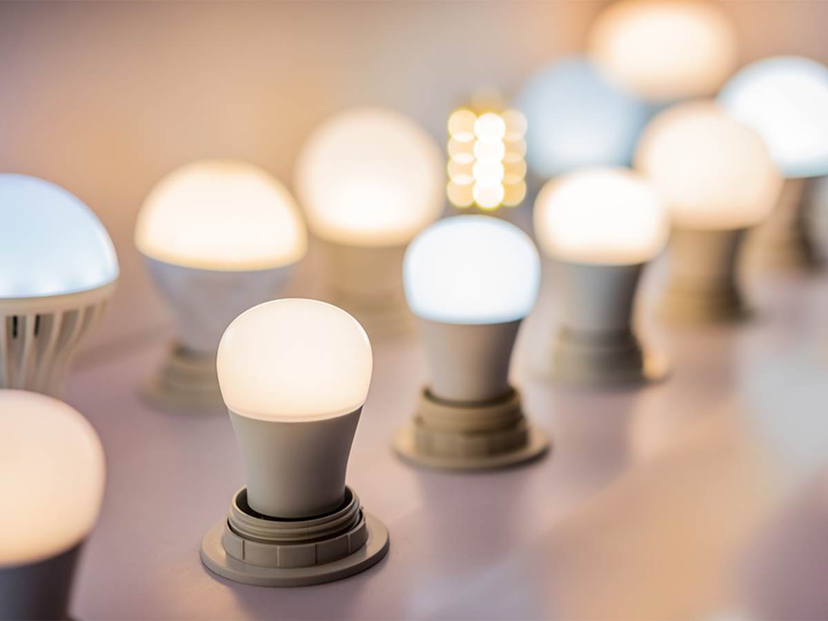 Different colors and shapes of lightbulbs on display