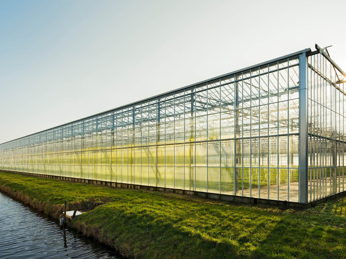 A greenhouse surrounded by green grass sits near the edge of the water on a clear day 