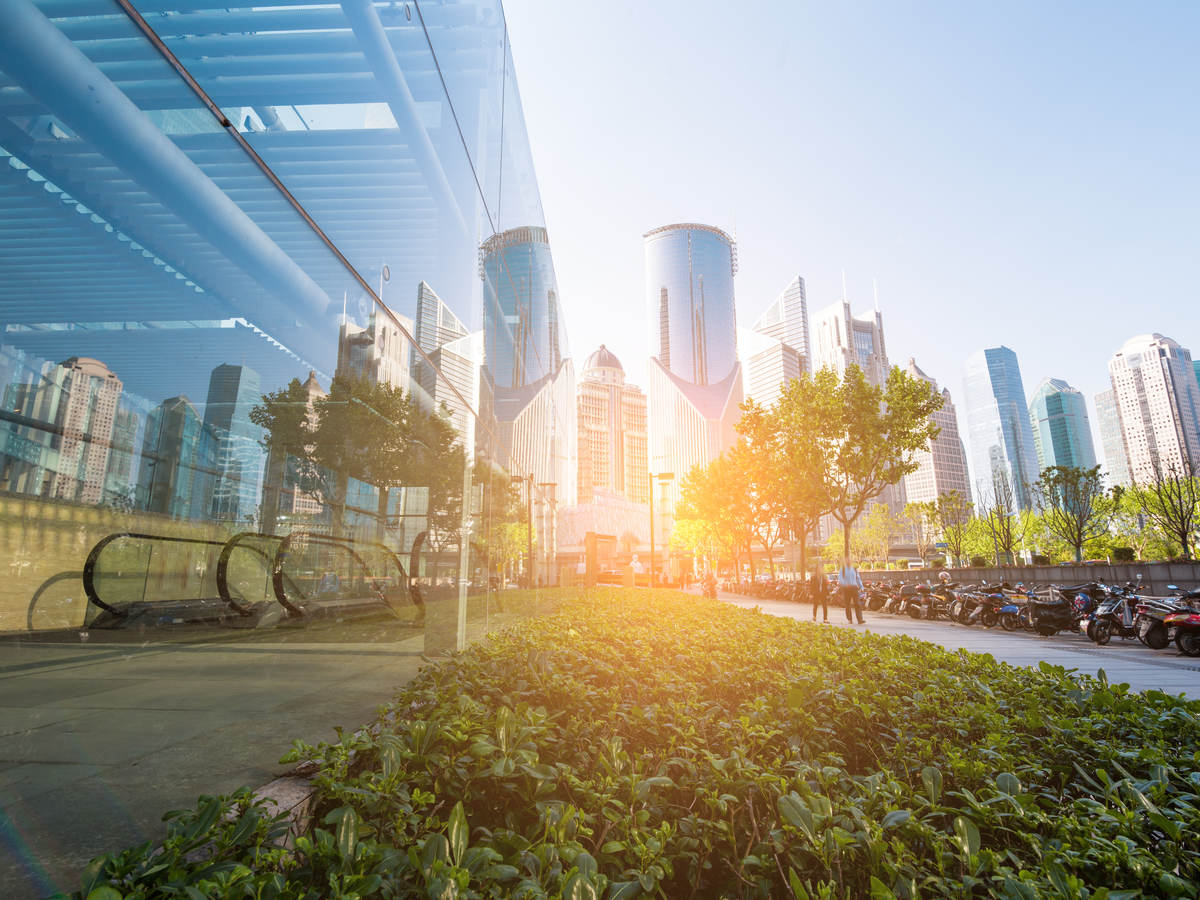 Panoramic and perspective view of high-rise buildings, where greenery and trees are reflected in the glass windows