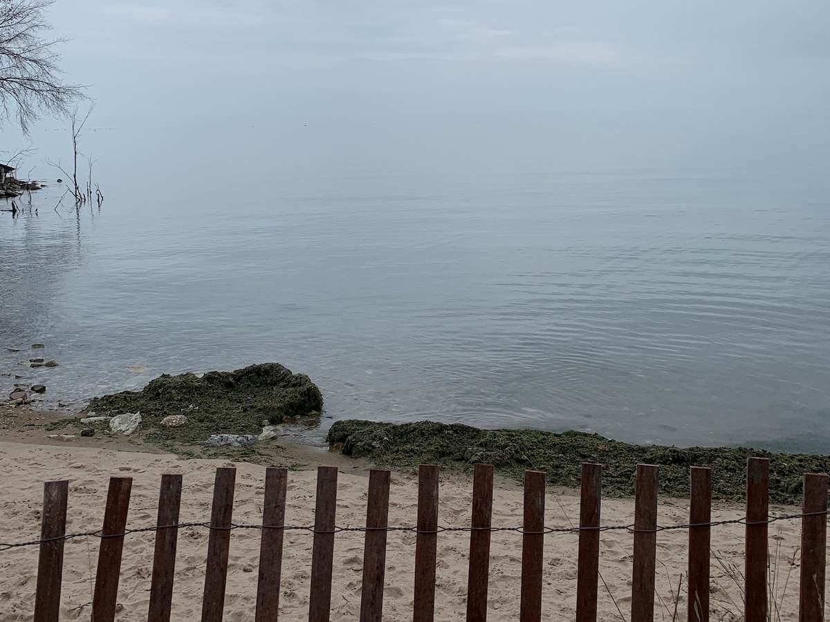 A pre-cleanup picture of a beach on Lake Michigan's waterfront. 