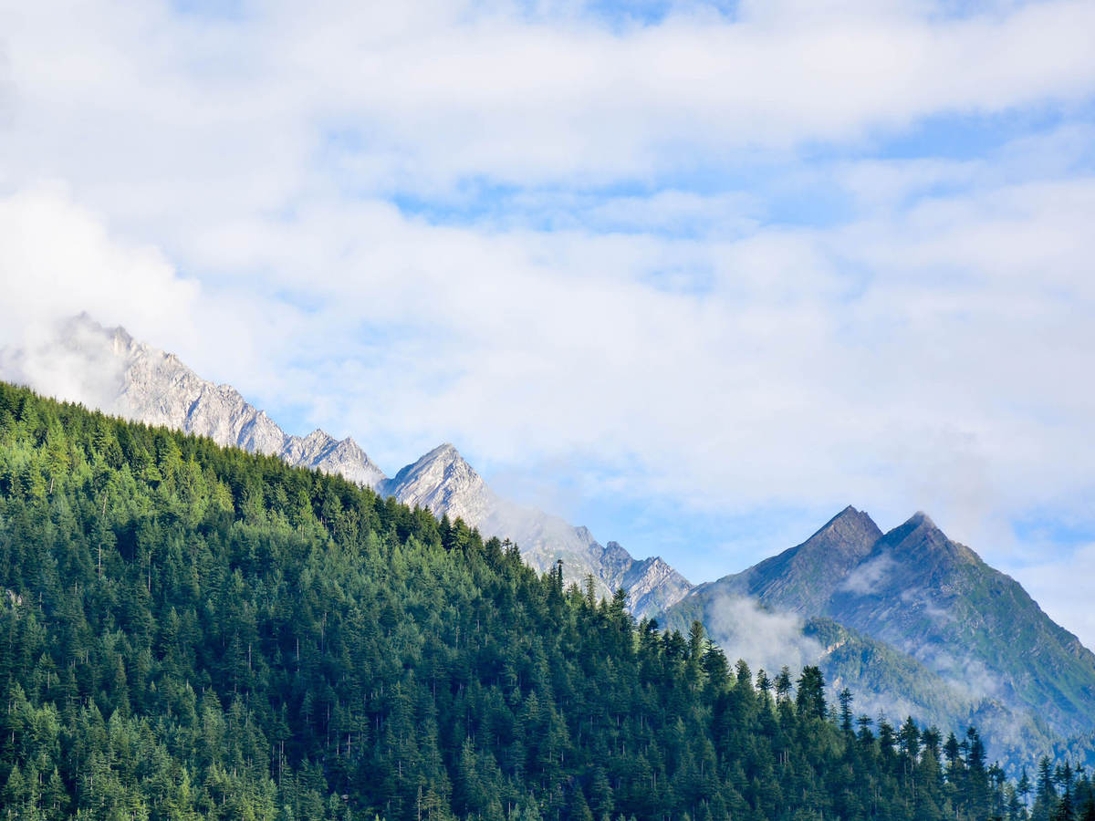 Photo of trees in foreground and mountains in the background