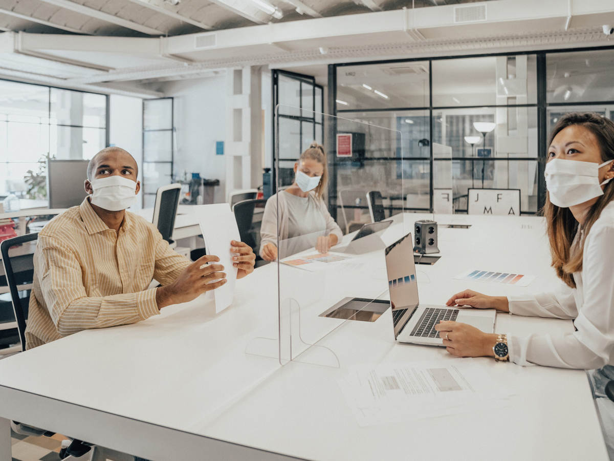 People in open office environment working separated by transparent dividers 