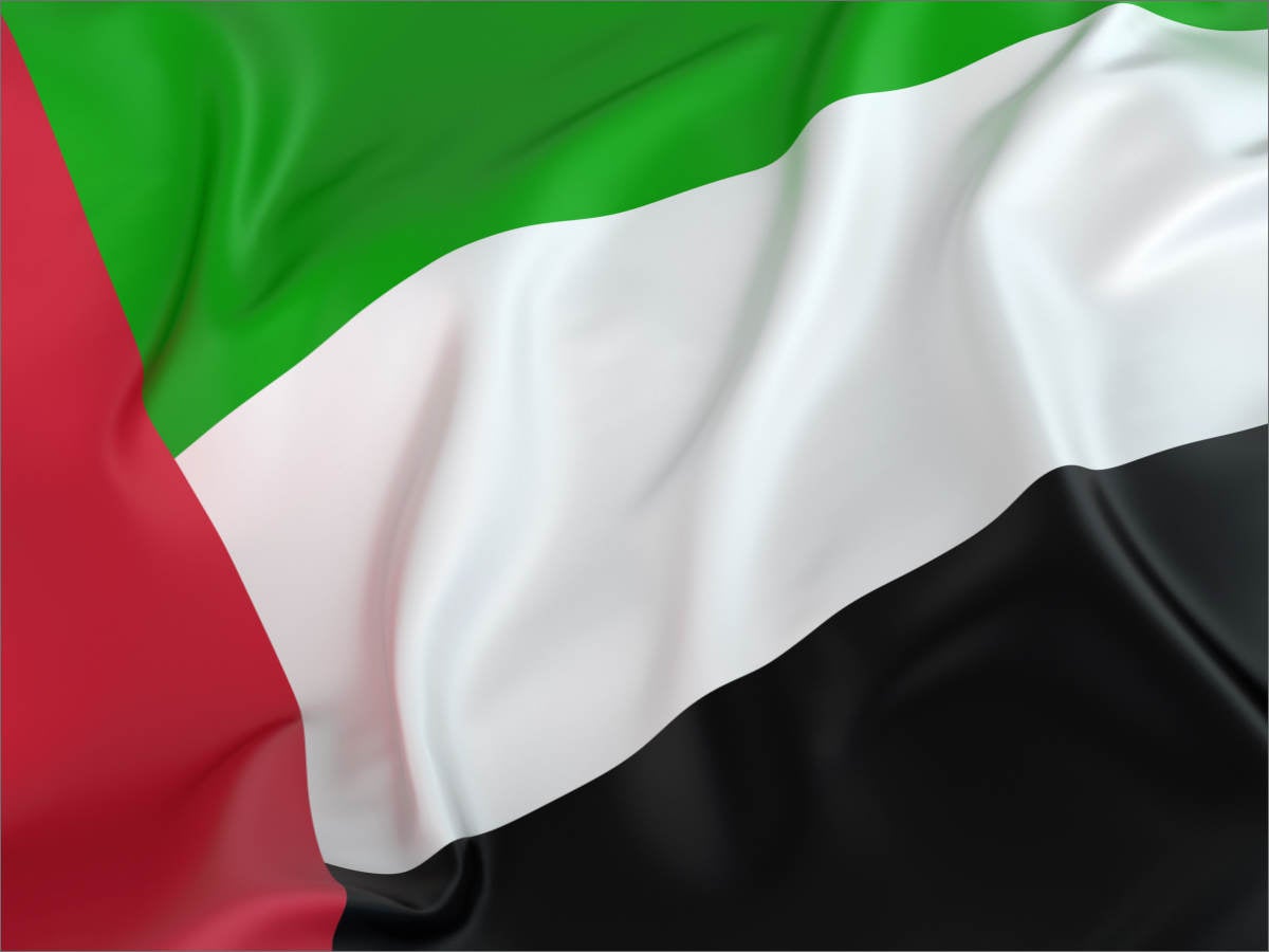 UAE flag