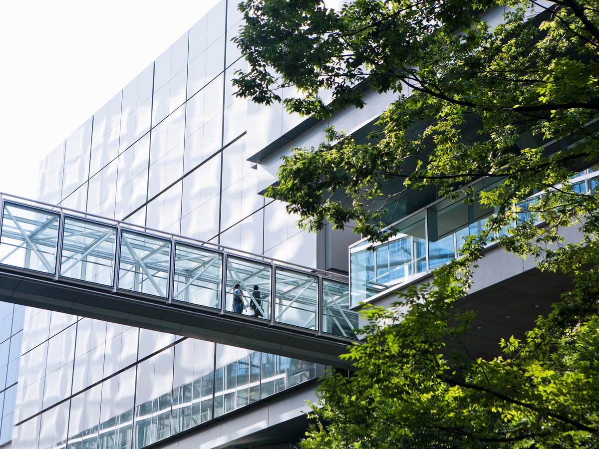 An office building and greenery